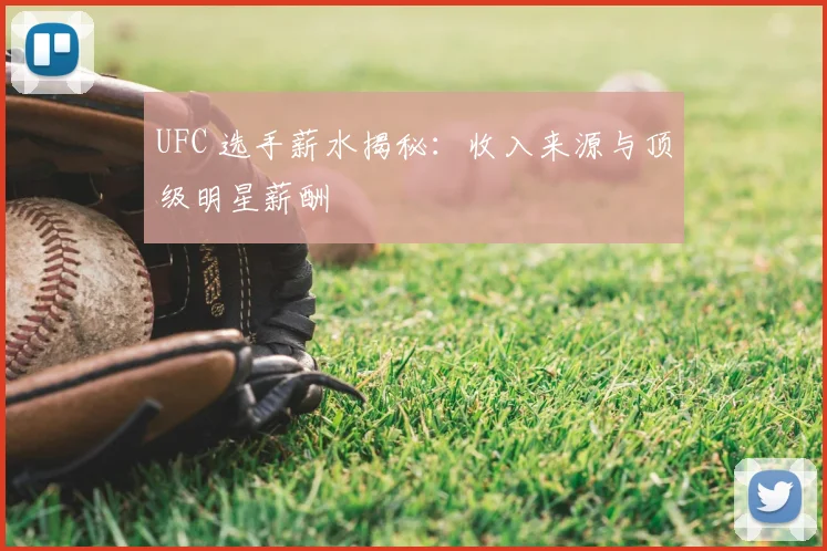 UFC 选手薪水揭秘：收入来源与顶级明星薪酬